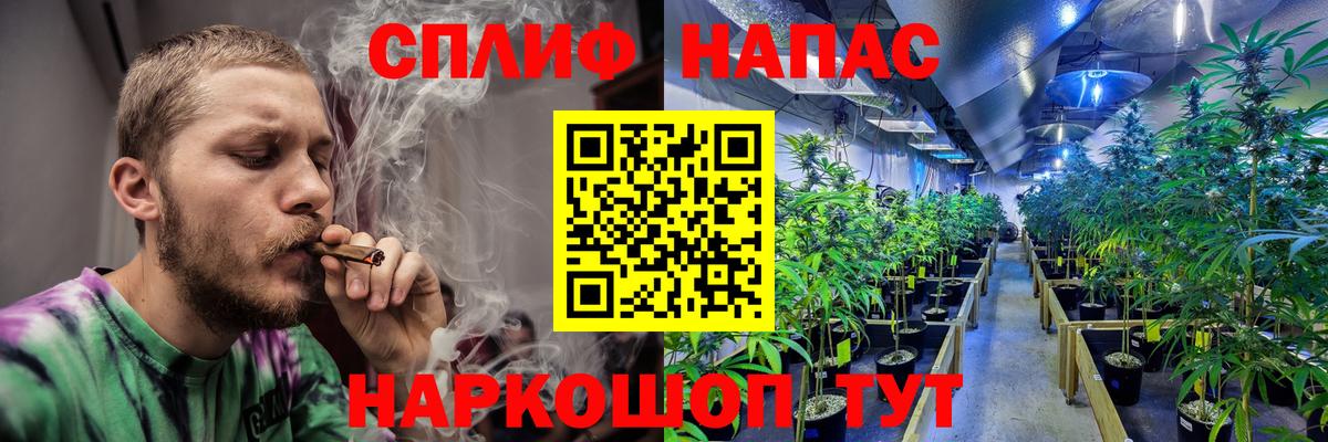 Шишки марихуана AK-47 Дивногорск